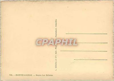 Monte-Carlo — Entre os Árvores — L. Gilletta et Cie, n° 714 — Verso
