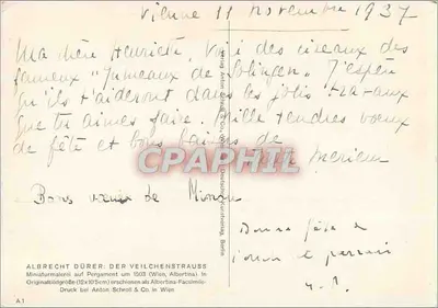 Flores de nenúfar — ilustração miniatura — Anton Schroll & Co. Viena — Verso