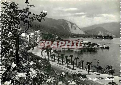Lago Maggiore - Stresa — vista do lago e do porto — Forostampa Reggiori, n°240