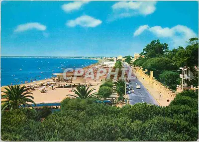 Terracina — Vista da Avenida Circe a partir da pinheira — Ediz. Blusms
