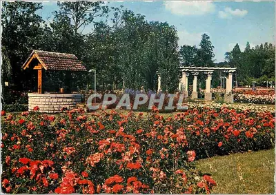 लियोन के पार्क डी ला टेट ड'ओर — रोज़ के उत्सव 1965 — एडिशन्स जे. एडूआर्ड