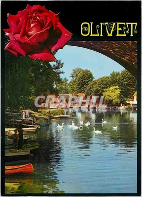 Olivet — As margens do Loiret — Impressora Combibier