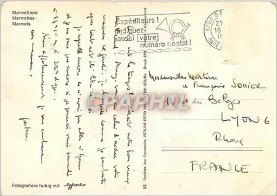 मार्मॉट्स — मरमेल्टाइएर — फैबियानो जॉन फ्रूएर्स्टलिन, संख्या 53 — पीछे