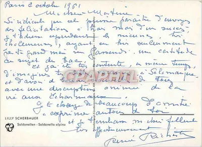 Soldanelle alpina — ilustracja botaniczna — Lilly Scherbauer, N° 403 — Rewers