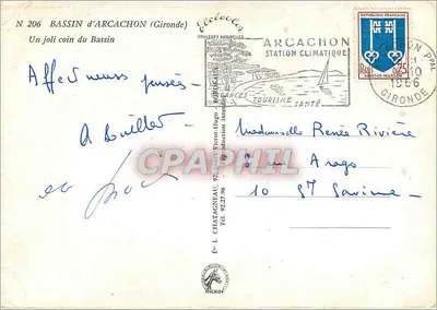 Bassin d'Arcachon — widok plaży między sosnami — wydawca Elcé, N° 206 — Rewers