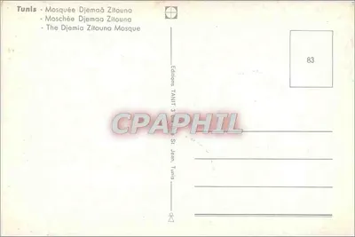 Moskwa Dzemmaa Zitouna — Tunis — Éditions TANIR — Rewers