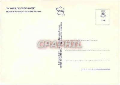 Jovens cabritos nas rochas — Editora: Edições EDY, n° 137 — Verso