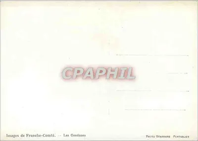 As Gentianas — Imagens da França Oriental — Foto Stainagre Pontarlier — Verso