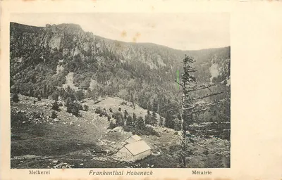 Métairie — Frankenthal Hoheneck — Fédéa Luib, Strasbourg