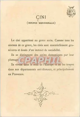 Cini — (Serinus meridionalis) — autor F. Fauvry, seria — Rewers