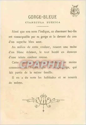 Gorge-Bleue — (Cyanecula suecica) — Farley & Leocare — Rewers