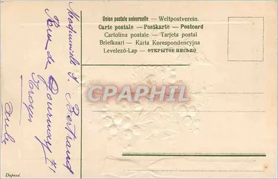 Ano Feliz — Decoração de hortênsia e flores — Editor não visível — Verso