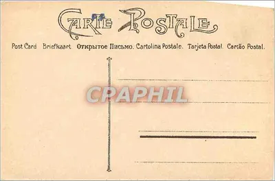 Clycine i Cybise — ilustracja botaniczna — wydawca nie widoczny — Rewers