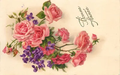 Arranjo de rosas e violetas — Boa Ano — editor desconhecido, n° de série 558