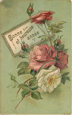 Bom e feliz ano — rosas — editor não identificado