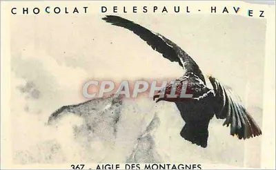 Águia das montanhas — Chocolate Delespaul-Havez, n°367