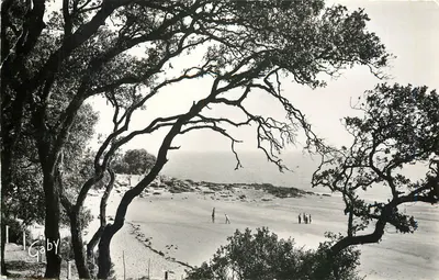 Gaby — Vista da praia — Edições Artaud e filhos, Gaby