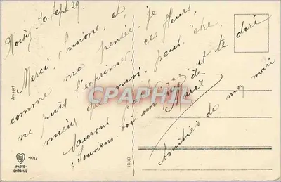 Kwiaty — róża różowa, różowa i czerwona krokus — Jmpart, nr 4017 — Rewers