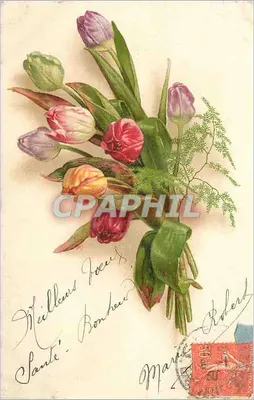 Arranjo de tulipas — editor Robert, número de série não visível