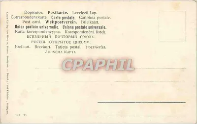 Arranjo de papoulas — ilustração — União Postal Universal, n° 101 — Verso