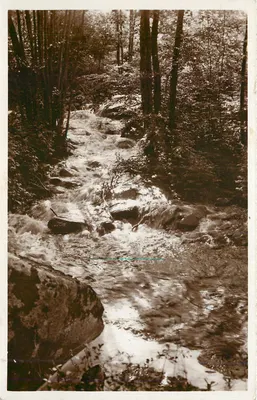 Cachoeira na floresta — Abadia de La Pierre-qui-Vire — Édit. d'Art de l'Abbaye Pierre-qui-Vire