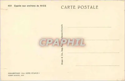 Ciprestes nas proximidades de NICE — Coleção « LA COTE D'AZUR » — Braun & Cie, Imp. Edit. Dornach — Verso