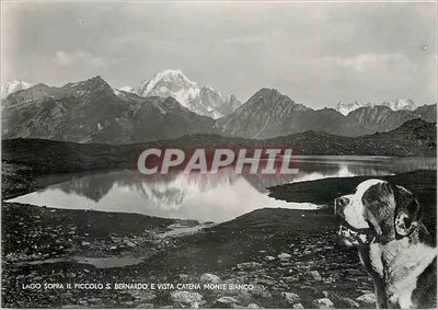 लागो सोप्रा इल पिक्कोलो सैंट बर्नार्डो और माउंट ब्लैंक की श्रृंखला — एड. सै.ए.सी.ए.टी. नंबर 1563 बिस