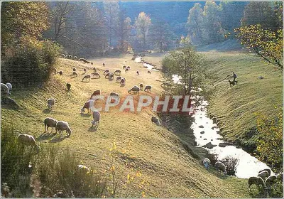 Paisagem — Aubrac — Edição de luxo, Éditions Bos