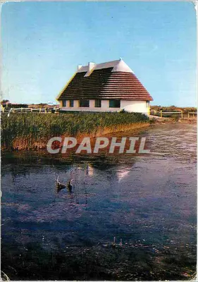 Cabana de Gardian — Camargue — Éditions de Carpentras