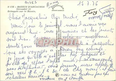 Bassin d'Arcachon — widok z drzew — Wydawca Elcé, nr 236 — Rewers