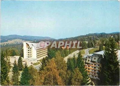 Poiana Brașov — Hotelul „Șoimul” — éditeur S. Mendrea, n° 2994/79