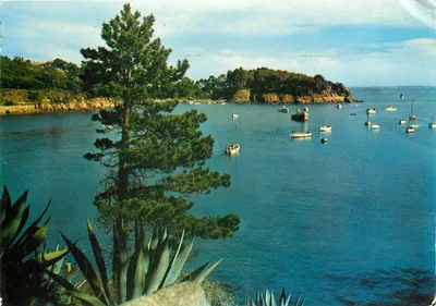 Ilha de Bréhat (Côtes-du-Nord) — O porto — Edições du Gabier, n°19