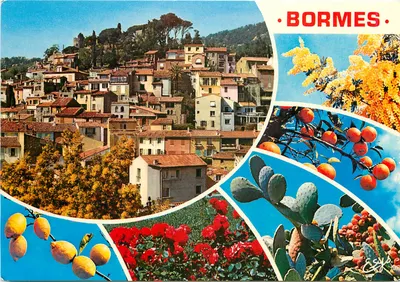 Bormes — Vista geral — Editor: Éryps, Nice