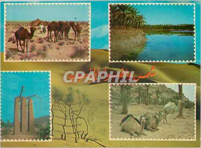 Deserto e oásis — Editor não indicado, número de série não visível