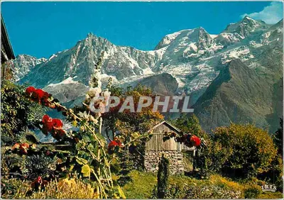 Monte Branco — vista alpina com rosas e cabana — edição IRIS
