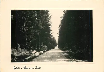 Arbois - Caminho na Floresta — Edição e Foto E. FROTET, n° 4975 bis