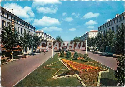 Place centrale avec fleurs en forme d'étoile — éditeur IRIS