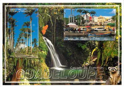Guadalupe — Allée Dumanoir, Darse de Pointe-à-Pitre, Cascade aux Ecrevisses — Éditions Mosny & André Exbrayat