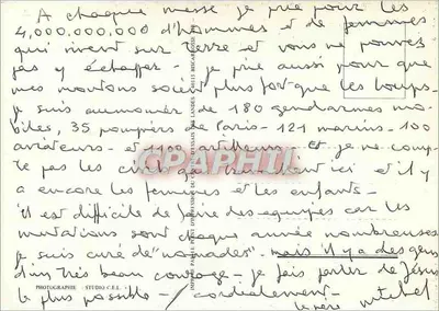 Ovelhas em pastagem — Editor: Studio C.E.L. — Número de série: 10115 — Verso