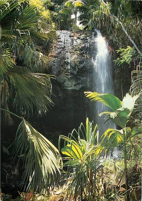 Vale de Maïe — Praslin — Seychelles — Produzida por PRINTEC