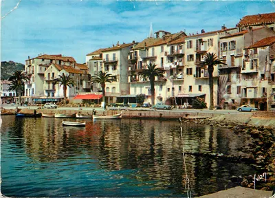 Calvi, Le Port — vue du port avec bateaux et palmiers — Éditions d'art Yvon