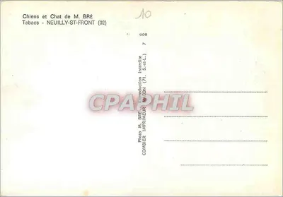 Cães e gatos — Aprender a se amar como cães e gatos — Foto M. BRÉ, Neuilly-st-Front (02) — Verso