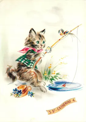 Gatinho pescando — Sainte-Catherine — Kiki Card n°13