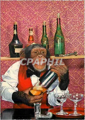 Macaco bartender — coquetel — editor Kallion, n° 900/101