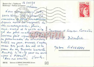 Flores amarelas na montanha — Edições A. DERIAZ, BAULMES, Suíça, n° 381/16 — Verso