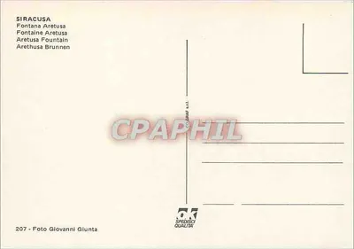 Siracusa — Fonte Aretusa — editor SPEDISCI QUALITÀ, n° 207 — Verso