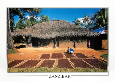 Secagem de clavos em Pemba — Zanzibar — Publicado por GA 372