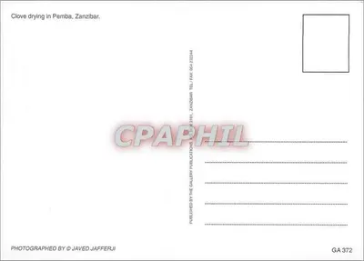 Secagem de clavos em Pemba — Zanzibar — Publicado por GA 372 — Verso