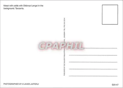 Masaj z bydłem — wzgórze Oldonyo Lengai na tle — Gallery Publications, n° GA147 — Rewers