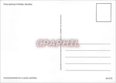 Colheita de clavos de girofle em Pemba — Zanzibar — GA 373 — Verso